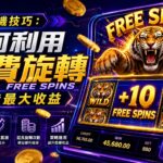 老虎機技巧：如何利用免費旋轉（Free Spins）創造最大收益